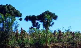 Imagem: CHACARA RURAL em Mandirituba - PR, Areia