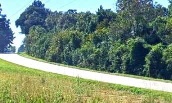 Imagem 4: CHACARA RURAL em Mandirituba - PR, Areia Branca de Assis