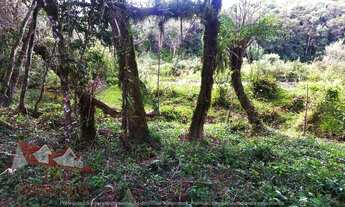 Imagem 5: Chácara sem benfeitorias a Venda