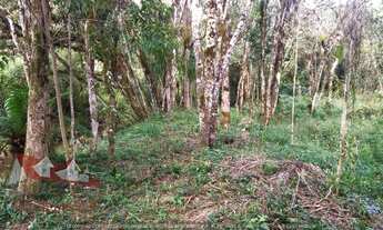 Imagem 3: Chácara sem benfeitorias a Venda