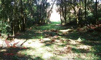 Imagem 2: Chácara sem benfeitorias a Venda