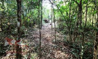 Imagem 7: CHACARA RURAL em SÃO JOSÉ DOS PINHAIS - PR, Faxina