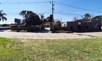 Imagem: CHACARA COMERCIAL em SÃO JOSÉ DOS PINHAIS