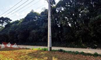 Imagem: CHACARA RURAL em SÃO JOSÉ DOS PINHAIS