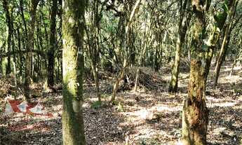 Imagem 4: CHACARA RURAL em SÃO JOSÉ DOS PINHAIS - PR, Faxina