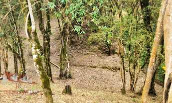 Imagem 4: Chácara sem benfeitorias a Venda