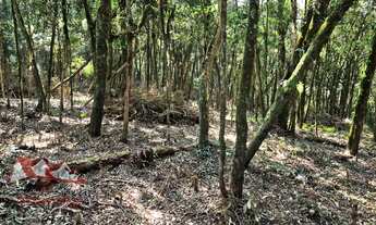 Imagem 3: CHACARA RURAL em SÃO JOSÉ DOS PINHAIS - PR, Faxina