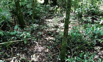 Imagem 5: CHACARA RURAL em SÃO JOSÉ DOS PINHAIS - PR, Faxina