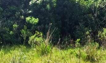 Imagem: CHACARA RURAL em SÃO JOSÉ DOS PINHAIS