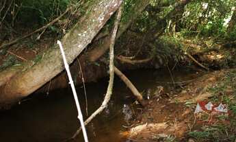 Imagem 7: CHACARA RURAL em FAZENDA RIO GRANDE - PR, Rio Abaixo