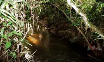 Imagem 6: CHACARA RURAL em FAZENDA RIO GRANDE - PR, Rio Abaixo