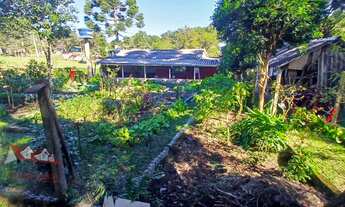 Imagem 7: CHACARA RURAL em TIJUCAS DO SUL - PR, Campo Alto