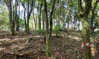Imagem 5: CHACARA RURAL em SÃO JOSÉ DOS PINHAIS - PR, Faxina