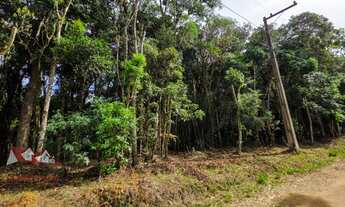 Imagem 3: CHACARA RURAL em SÃO JOSÉ DOS PINHAIS - PR, Faxina