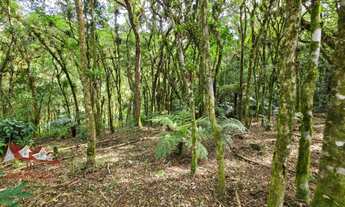 Imagem 4: CHACARA RURAL em SÃO JOSÉ DOS PINHAIS - PR, Faxina