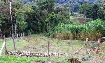 Imagem 6: CHACARA RURAL em SÃO JOSÉ DOS PINHAIS - PR, Curralinho