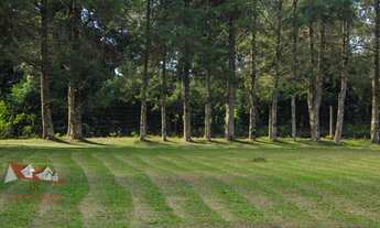 Imagem 5: CHACARA RURAL em SÃO JOSÉ DOS PINHAIS - PR, Campestre da Faxina