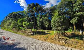 Imagem: Belíssima Chácara sem benfeitorias