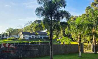 Imagem 3: CHACARA RURAL em São José dos Pinhais - PR, Contenda