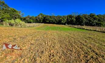 Imagem: Belíssima Chácara sem benfeitorias