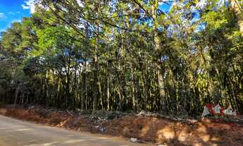 Imagem: CHACARA RURAL em SÃO JOSÉ DOS PINHAIS