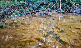 Imagem 6: CHACARA RURAL em SÃO JOSÉ DOS PINHAIS - PR, Córrego Fundo