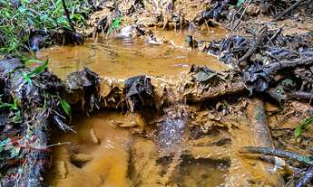 Imagem 7: CHACARA RURAL em SÃO JOSÉ DOS PINHAIS - PR, Córrego Fundo