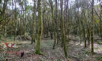 Imagem: CHACARA RURAL em SÃO JOSÉ DOS PINHAIS