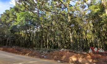 Imagem 2: CHACARA RURAL em SÃO JOSÉ DOS PINHAIS - PR, Córrego Fundo
