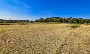 Imagem: CHACARA RURAL em SÃO JOSÉ DOS PINHAIS