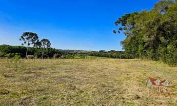 Imagem 4: CHACARA RURAL em SÃO JOSÉ DOS PINHAIS - PR, Campo Largo da Roseira