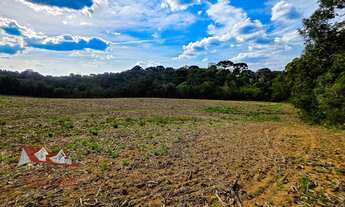 Imagem: Chácara a Venda sem benfeitorias