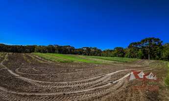 Imagem: Chácara sem benfeitorias a Venda