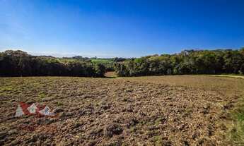 Imagem: Chácara sem benfeitorias a Venda