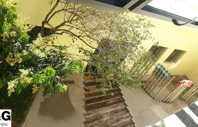 Imagem 4: GALPAO COMERCIAL em SÃO BERNARDO DO CAMPO - SP, ANCHIETA