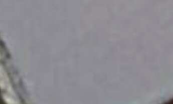 Imagem: GALPAO COMERCIAL em SANTO ANDRÉ - SP, CASA