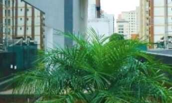 Imagem 6: SALA COMERCIAL em SANTO ANDRÉ - SP, BELA VISTA