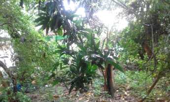 Imagem 2: TERRENO RESIDENCIAL em São Bernardo do Campo - SP, Parque Anchieta