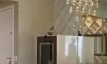 Imagem 3: APARTAMENTO RESIDENCIAL em SÃO BERNARDO DO CAMPO - SP, CENTRO