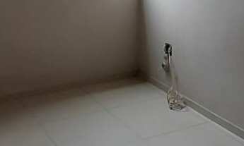 Imagem 2: APARTAMENTO RESIDENCIAL em SÃO BERNARDO DO CAMPO - SP, DEMARCHI