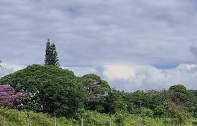 Imagem 3: ÁREA COMERCIAL em DIADEMA - SP, PIRAPORINHA