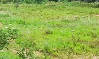 Imagem 4: ÁREA COMERCIAL em DIADEMA - SP, PIRAPORINHA