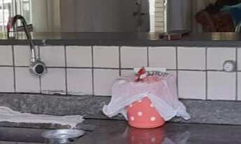 Imagem 7: CHACARA RESIDENCIAL em SARAPUÍ - SP, Sarapui