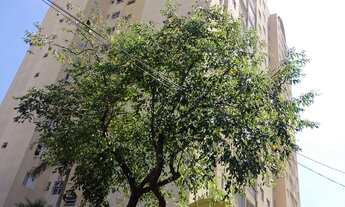 Imagem: APARTAMENTO RESIDENCIAL em SANTO ANDRÉ