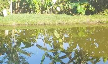 Imagem 2: CHACARA RESIDENCIAL em SARAPUÍ - SP, sarapui