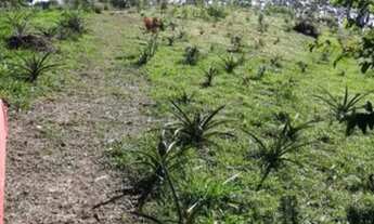 Imagem 4: TERRENO COMERCIAL em RIBEIRÃO PIRES - SP, QUARTA DIVISÃO