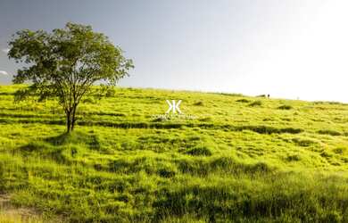 Imagem 6: FAZENDINHAS CHACARAS TERRENOS E SITIOS Fazendinhas de 20.000 m² próximo a Belo Horizonte e