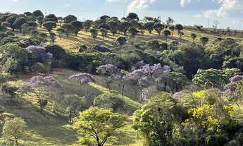 Imagem: Terrenos e Fazendinhas a venda com Áreas