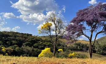 Imagem 1: Terrenos e Fazendinhas a venda com Áreas a partir de 20.000m² - 2,00 hectares em Casa Bran