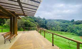 Imagem 6: Terrenos e Fazendinhas a venda com Áreas a partir de 20.000m² - 2,00 hectares em Casa Bran